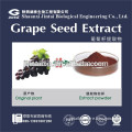 antioxidant skin whitening Grape seed extract
